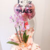 Orquídea dia das mães